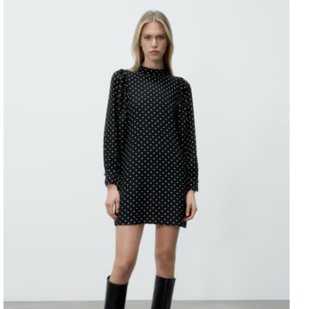 Zara polkdadot long sleeve dress